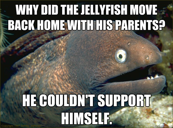 Why did the jellyfish move back home with his parents? He couldn't support himself.  Bad Joke Eel