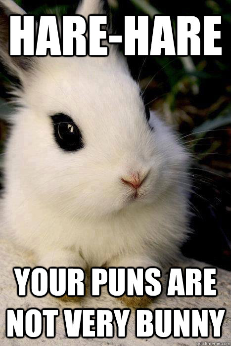 Hare-hare your puns are not very bunny - Hare-hare your puns are not very bunny  Misc