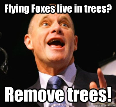 Flying Foxes live in trees? Remove trees!  Campbell Newman logic