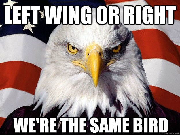 Left wing or right we're the same bird  Patriotic Eagle