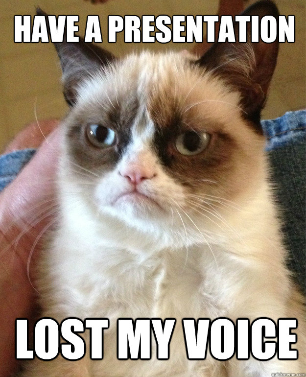 Have a presentation
 Lost my voice   Grumpy Cat