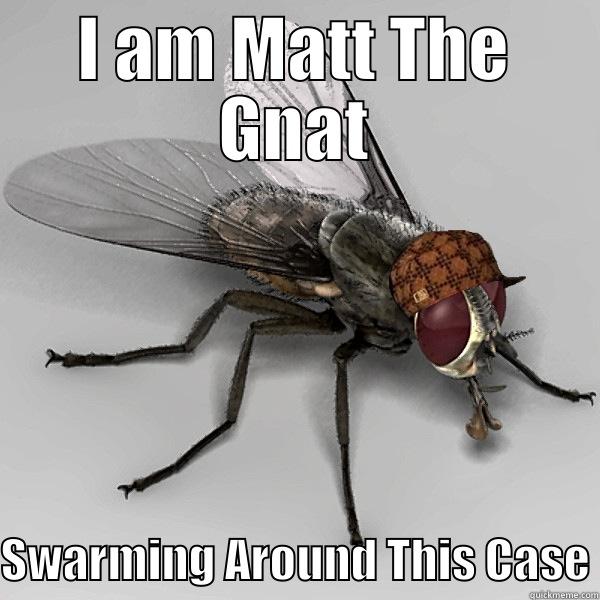 I AM MATT THE GNAT SWARMING AROUND THIS CASE Scumbag Fly
