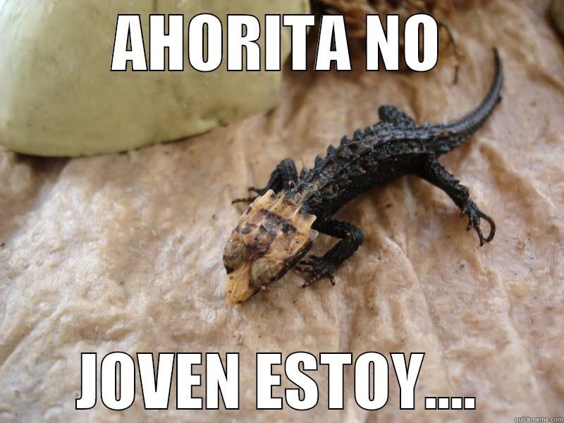 AHORITA NO JOVEN ESTOY.... Misc