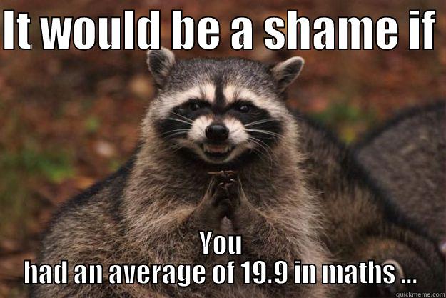 IT WOULD BE A SHAME IF  YOU HAD AN AVERAGE OF 19.9 IN MATHS ... Evil Plotting Raccoon