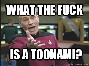 what the fuck is a toonami?  Annoyed Picard