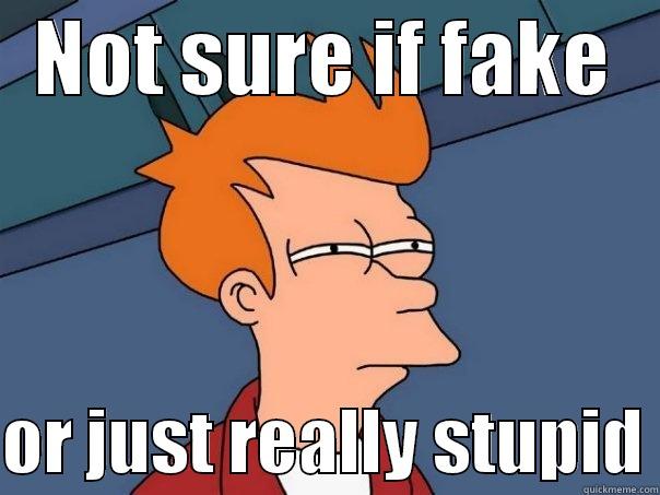   NOT SURE IF FAKE     OR JUST REALLY STUPID Futurama Fry