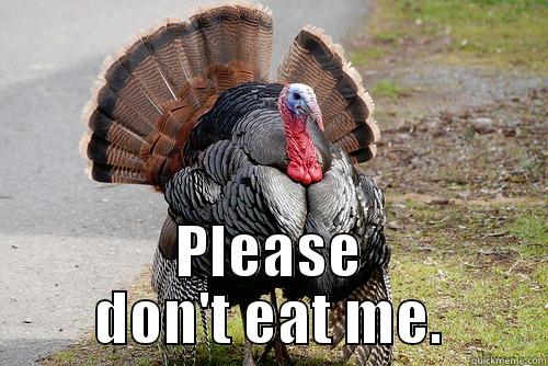turkey meme -  PLEASE DON'T EAT ME. Misc