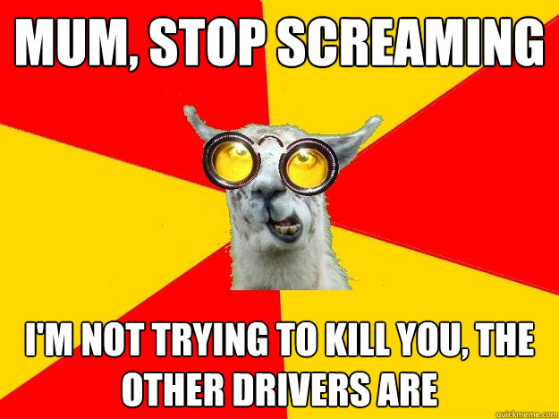 mum, stop screaming i'm not trying to kill you, the other drivers are  Learner Driver Llama