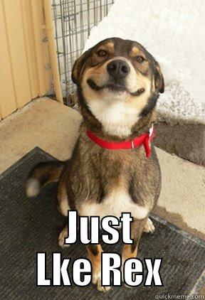  JUST LKE REX Good Dog Greg