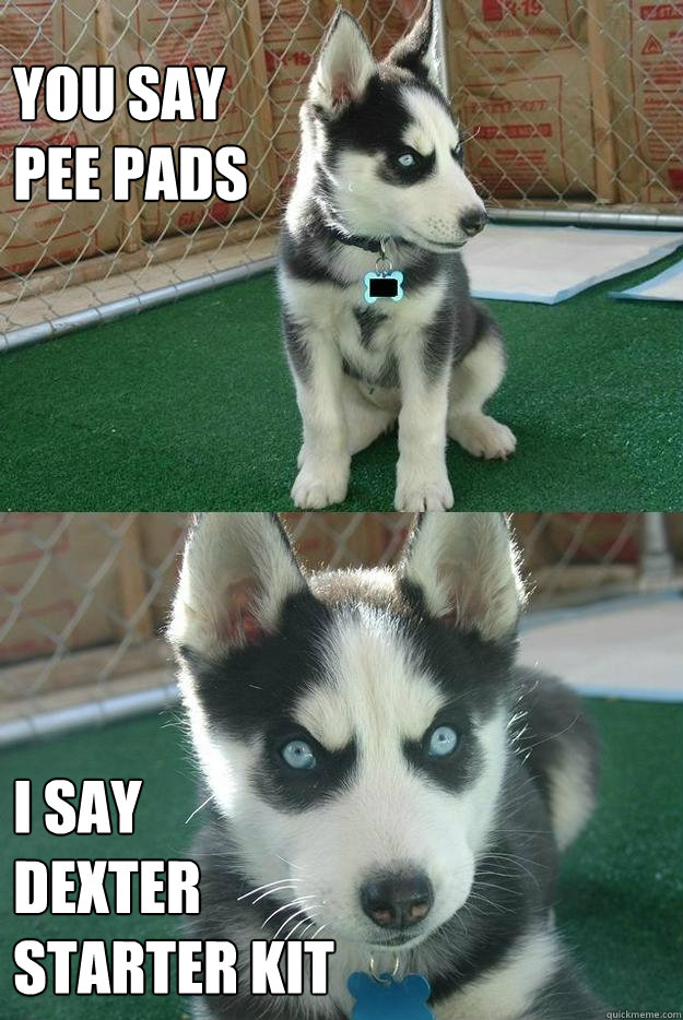 You say 
pee pads I say
Dexter 
starter kit  Insanity puppy