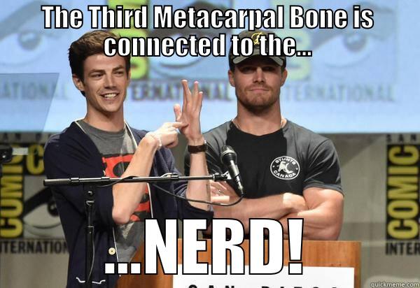 THE THIRD METACARPAL BONE IS CONNECTED TO THE... ...NERD! Misc