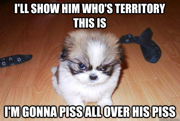 I'll show him who's territory this is I'm gonna piss all over his piss - I'll show him who's territory this is I'm gonna piss all over his piss  Angry dog