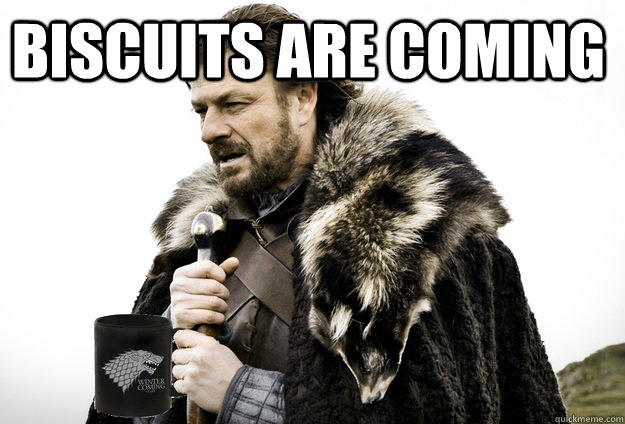 biscuits are coming  Tea break Ned Stark