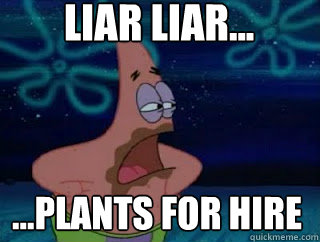 Liar liar... ...Plants for hire - Liar liar... ...Plants for hire  Liar liar