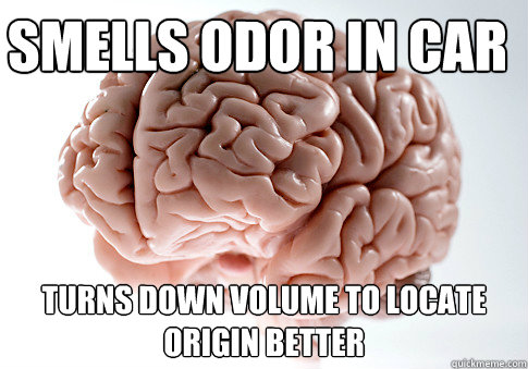 Smells odor in Car Turns down volume to locate origin better   Scumbag Brain