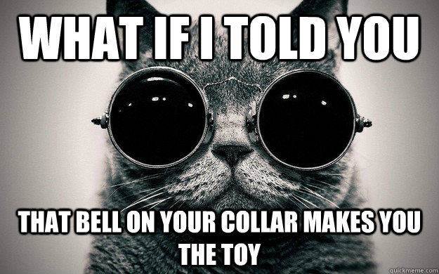 What if i told you That bell on your collar makes you the toy - What if i told you That bell on your collar makes you the toy  Morpheus Cat Facts