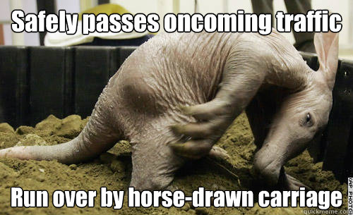 Safely passes oncoming traffic Run over by horse-drawn carriage  Awkward Aardvark
