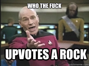Who the fuck Upvotes a rock  Annoyed Picard