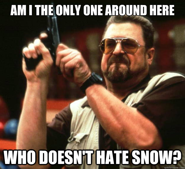 am I the only one around here who doesn't hate snow? - am I the only one around here who doesn't hate snow?  Angry Walter