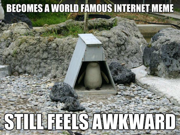 becomes a world famous internet meme still feels awkward - becomes a world famous internet meme still feels awkward  Misc