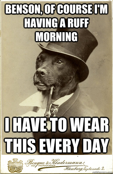 Benson, of course I'm having a ruff morning I have to wear this every day - Benson, of course I'm having a ruff morning I have to wear this every day  Old Money Dog