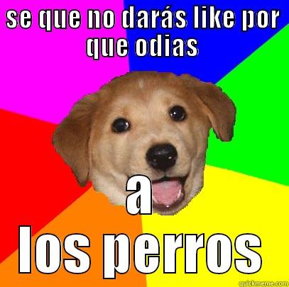 SE QUE NO DARÁS LIKE POR QUE ODIAS A LOS PERROS Advice Dog