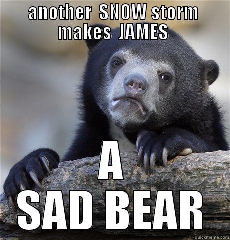 ANOTHER  SNOW STORM MAKES  JAMES A SAD BEAR Confession Bear