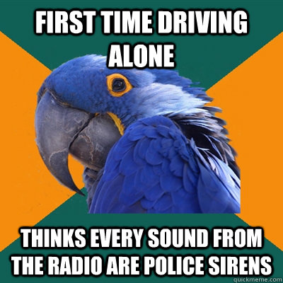 first time driving alone thinks every sound from the radio are police sirens  Paranoid Parrot