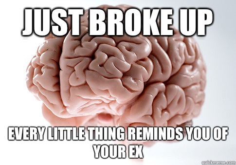 Just broke up Every little thing reminds you of your ex  Scumbag Brain