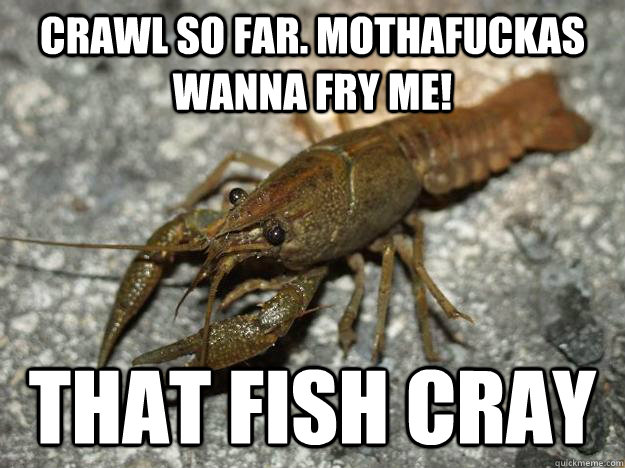 Crawl so far. Mothafuckas wanna fry me! that fish cray  