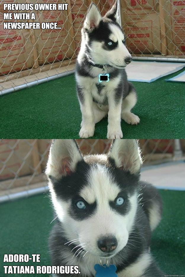 Previous owner hit 
me with a 
newspaper once... Adoro-te 
Tatiana Rodrigues.  Insanity puppy