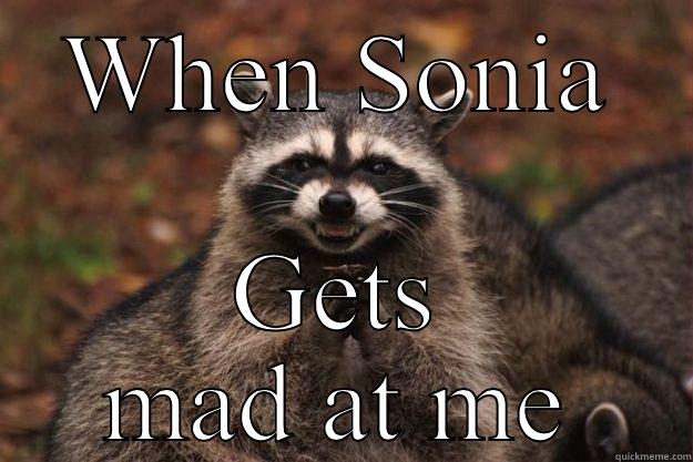 WHEN SONIA GETS MAD AT ME Evil Plotting Raccoon