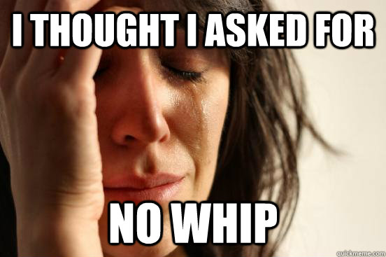 i thought I asked for no whip - i thought I asked for no whip  First World Problems