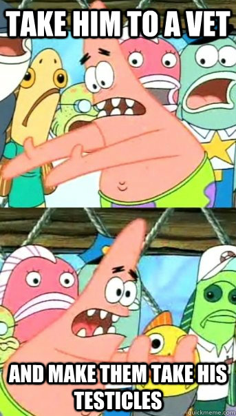 Take him to a vet and make them take his testicles  Push it somewhere else Patrick