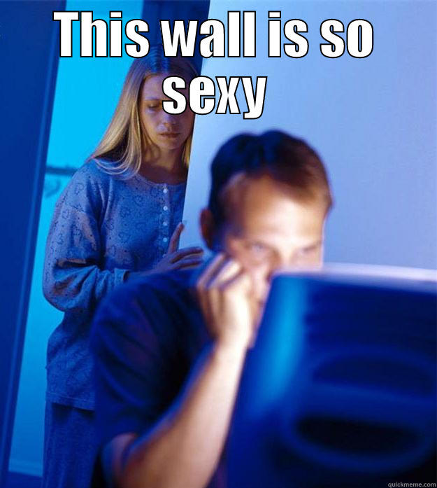 THIS WALL IS SO SEXY  Redditors Wife