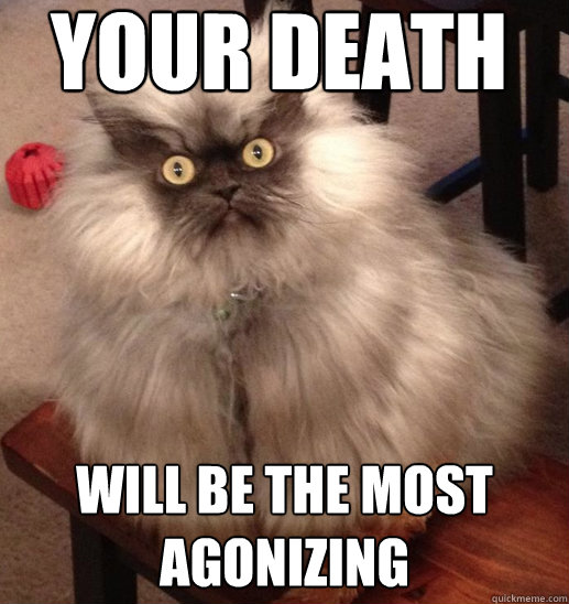 Your death Will be the most agonizing  Colonel Meow
