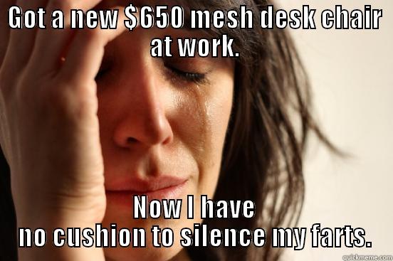 Hashtag Fart Problems - GOT A NEW $650 MESH DESK CHAIR AT WORK. NOW I HAVE NO CUSHION TO SILENCE MY FARTS. First World Problems
