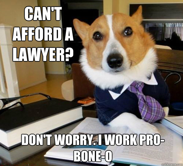 Can't afford a lawyer? Don't worry. I work pro-bone-o    Lawyer Dog