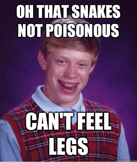 Oh that snakes not poisonous  Can't feel legs - Oh that snakes not poisonous  Can't feel legs  Bad Luck Brian