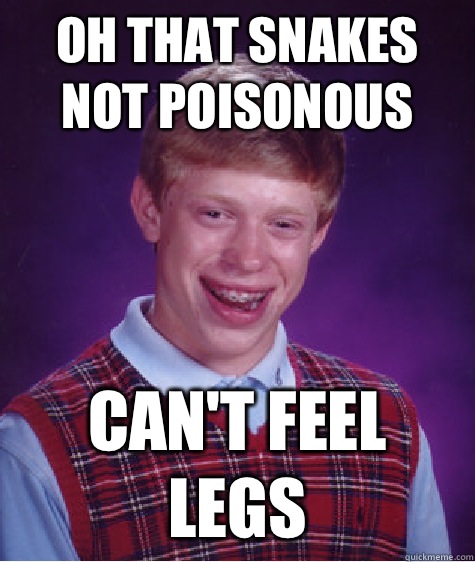 Oh that snakes not poisonous  Can't feel legs  Bad Luck Brian
