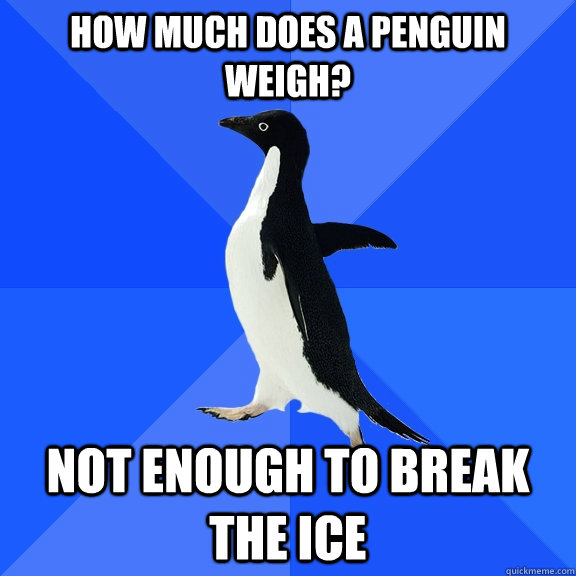How much does a penguin weigh? not enough to break the ice  Socially Awkward Penguin
