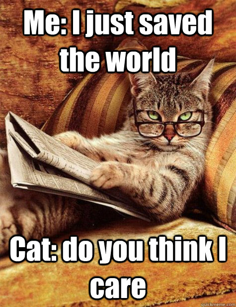 Me: I just saved the world Cat: do you think I care - Me: I just saved the world Cat: do you think I care  leave me alone cat