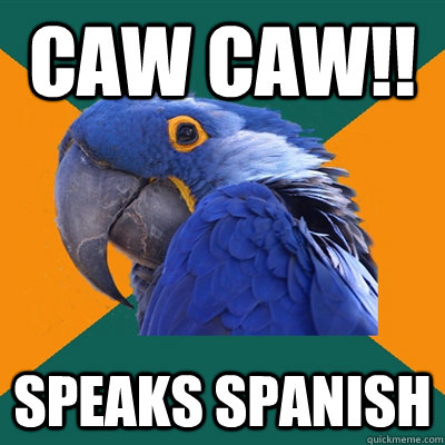 caw caw!! speaks spanish - caw caw!! speaks spanish  Paranoid Parrot