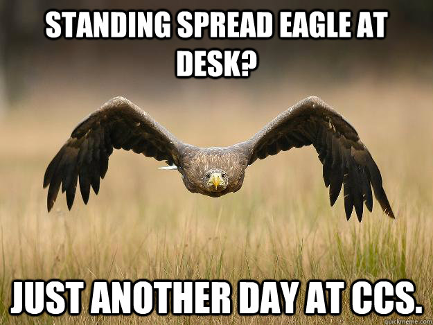 Standing spread eagle at desk? just another day at CCS.  