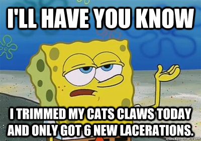 I'll Have you know I trimmed my cats claws today and only got 6 new lacerations.  sponge