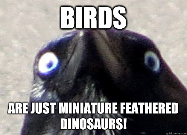 Birds Are just miniature feathered dinosaurs!  