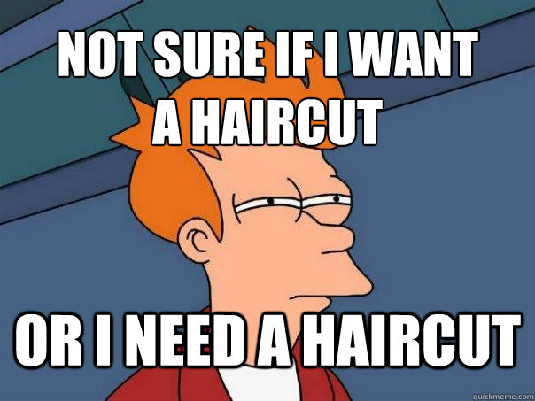 Not sure if I want 
a haircut Or I need a haircut - Not sure if I want 
a haircut Or I need a haircut  Futurama Fry