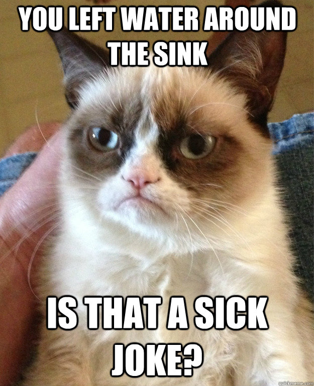 you left water around the sink Is that a sick joke?  Grumpy Cat
