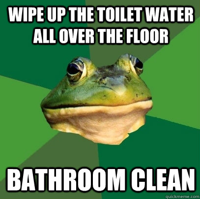 WIpe up the toilet water all over the floor Bathroom clean  Foul Bachelor Frog