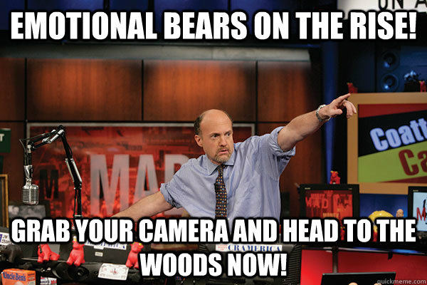 Emotional bears on the rise! Grab your camera and head to the woods now! - Emotional bears on the rise! Grab your camera and head to the woods now!  bearscashkarma